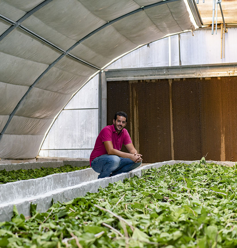 Alba Silk The founder Ahmed Zghal